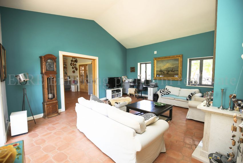 Biological Vineyard 6 Acres Farmhouse Silves Algarve-living room-Enneking real estate