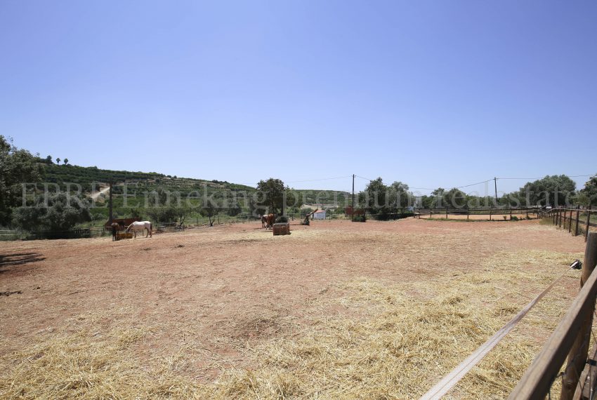 Biological Vineyard 6 Acres Farmhouse Silves Algarve-views-Enneking real estate